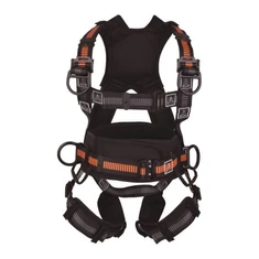 Harness