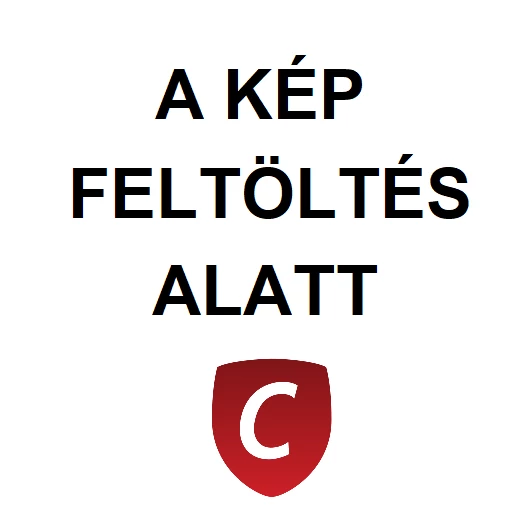 Engelbert Strauss I Férfi téli derekas munkanadrág, motion 2020