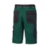 Picture 2/2 -Burgia Image work shorts