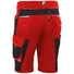 Picture 2/2 -Grizzlyskin work shorts