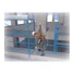 Imagine 2/2 - Kit de prevenire a căderilor DELTA PLUS Elara2870 gata de utilizare